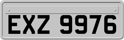 EXZ9976