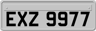 EXZ9977
