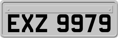 EXZ9979