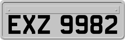 EXZ9982