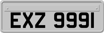 EXZ9991