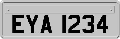 EYA1234