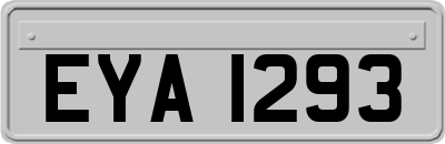 EYA1293