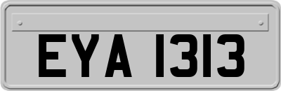 EYA1313