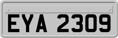 EYA2309