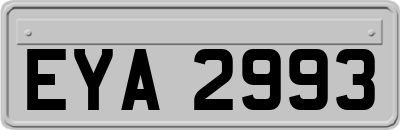 EYA2993