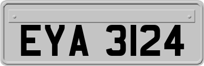 EYA3124