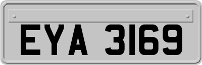 EYA3169