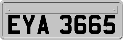 EYA3665