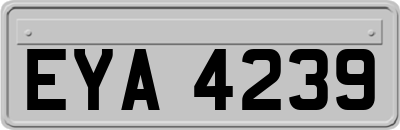 EYA4239