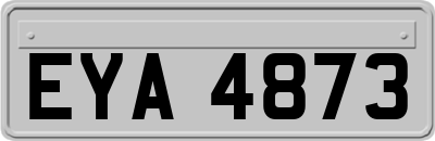 EYA4873