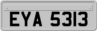 EYA5313