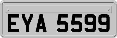 EYA5599