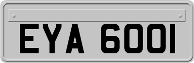 EYA6001