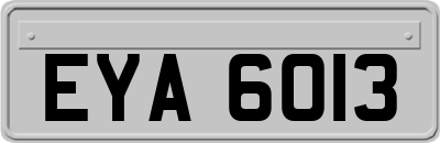 EYA6013