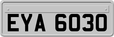 EYA6030