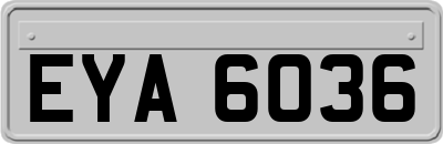 EYA6036