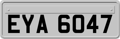 EYA6047