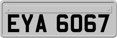 EYA6067