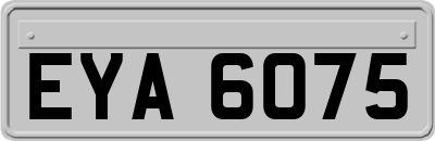 EYA6075