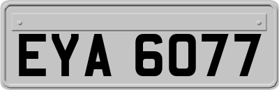 EYA6077