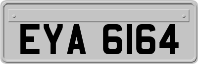 EYA6164