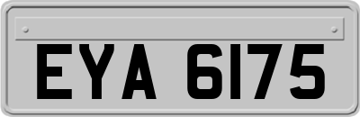 EYA6175
