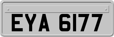 EYA6177