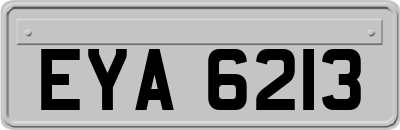EYA6213