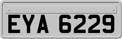 EYA6229