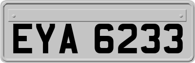 EYA6233