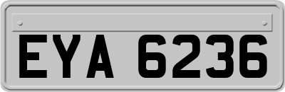 EYA6236