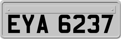 EYA6237