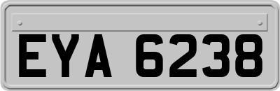 EYA6238