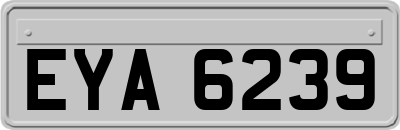 EYA6239