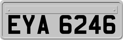 EYA6246