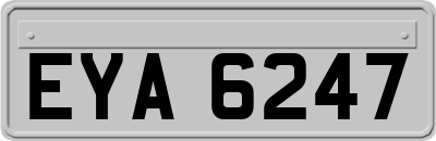 EYA6247
