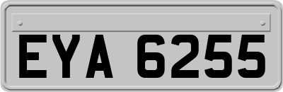 EYA6255