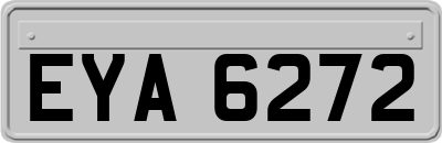 EYA6272
