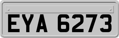 EYA6273