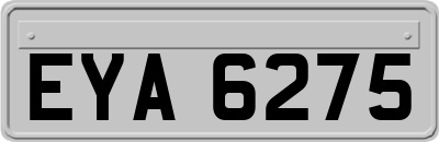 EYA6275