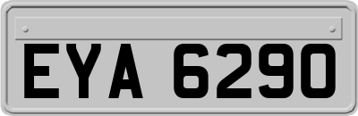 EYA6290