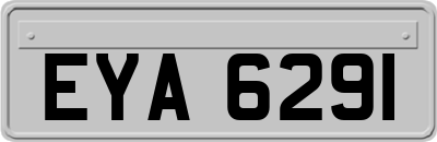 EYA6291