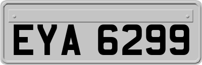 EYA6299