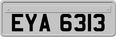 EYA6313