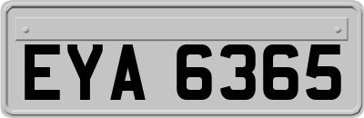 EYA6365