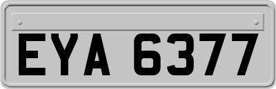EYA6377