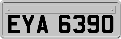 EYA6390