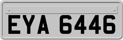 EYA6446