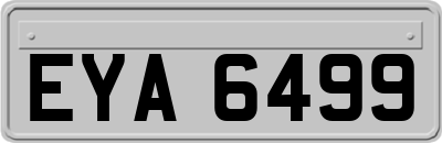 EYA6499